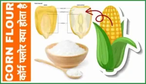 Corn flour kya hota hai-benefits-uses-and-recipes