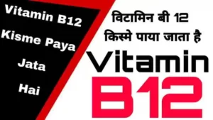 Vitamin B12 Kisme Paya Jata Hai