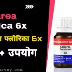 Calcarea Fluorica 6x Uses in Hindi