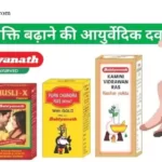 पौरुष शक्ति बढ़ाने की आयुर्वेदिक दवा बैद्यनाथ की टॉप 7 लिस्ट