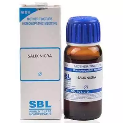 Salix Nigra Q टाइमिंग बढ़ाने की होम्योपैथिक दवा
