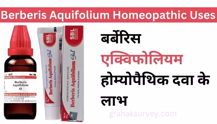 Homeopathic Berberis Aquifolium Benefits in Hindi