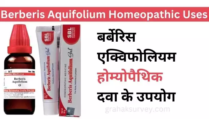 Berberis Aquifolium Homeopathic Uses in Hindi