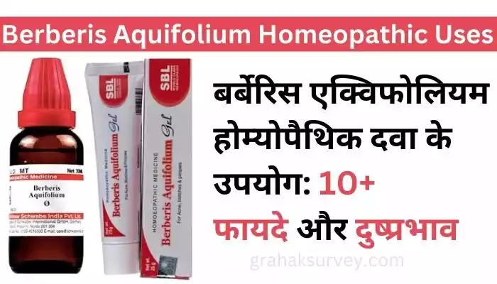 Berberis Aquifolium Homeopathic Uses in Hindi
