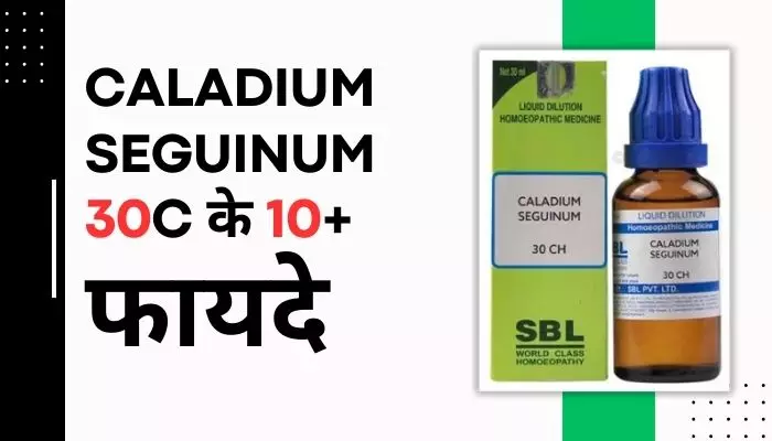 Caladium Seguinum 30 के फायदे