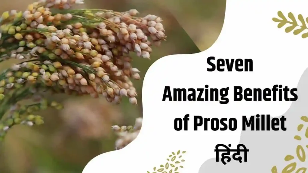 7 Amazing Benefits of Proso Millet In Hindi