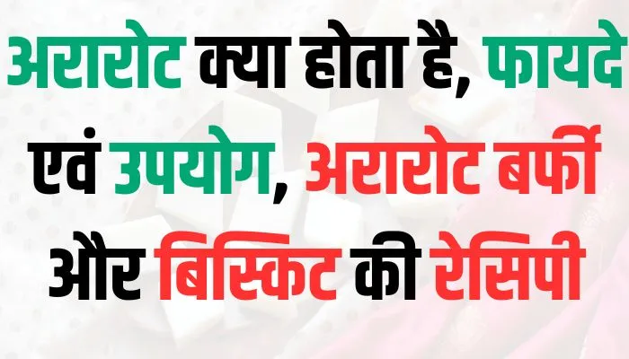 अरारोट क्या होता है, अरारोट पाउडर के फायदे एवं उपयोग, अरारोट बर्फी और बिस्किट की रेसिपी